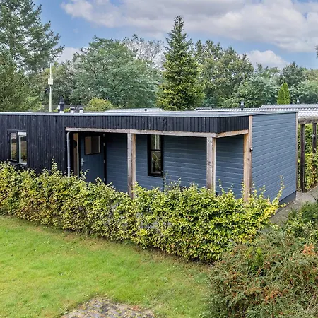 Modern In The Veluwe