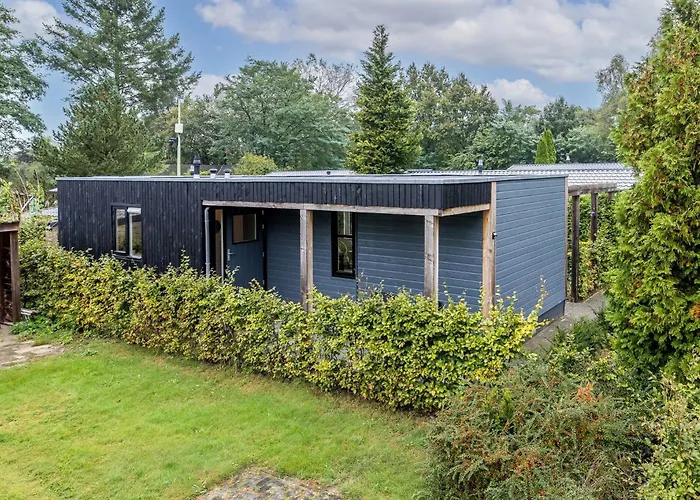 Modern In The Veluwe